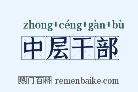 中层干部是什么意思的图片